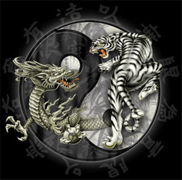 yingyang.gif